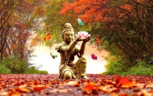 buddha_autumn.22371356_std